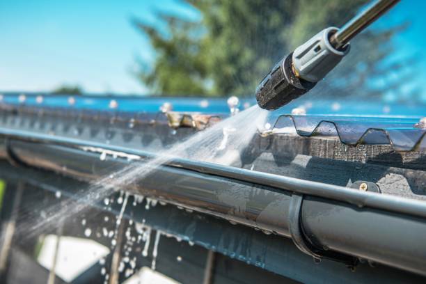 Best Roof Pressure Washing  in Westmoreland, TN