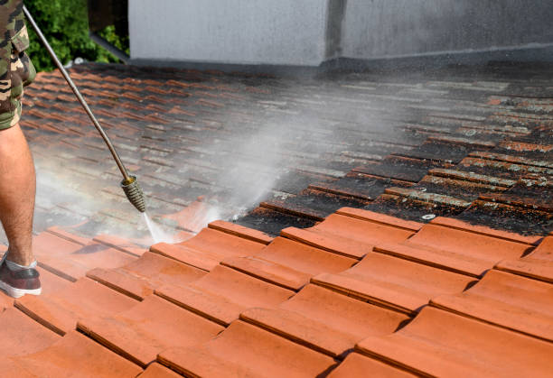 Best Commercial Building Pressure Washing  in Westmoreland, TN