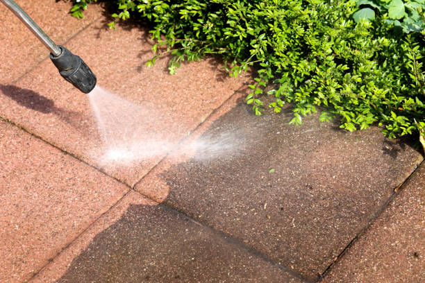 Best Sidewalk Pressure Washing  in Westmoreland, TN